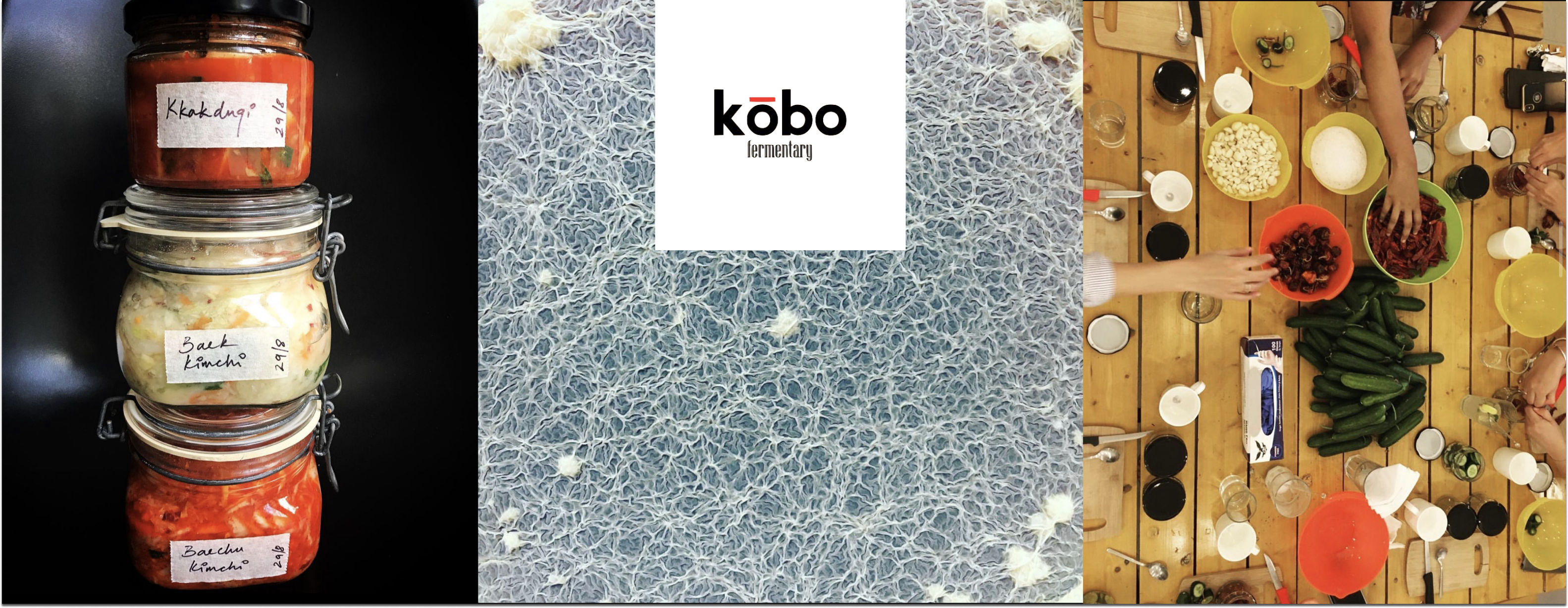 KŌBO FERMENTARY X BOOP