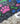 PAWsome Paradise – Not so much fun when muddy paw prints grace your floors, but definitely fun when those cute little paw prints are all colourful on a funky collar bandana instead. Find a selection of fun paw prints in our PAWsome Paradise range.