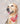 FURtastic Poochies – Yes, they are our furry babies, no matter their size, shape or look! Our FURtastic Poochies range offers a selection of doggy prints (in case they need to be reminded that they are actually woofies – OR NOT!! ) This fun range just a